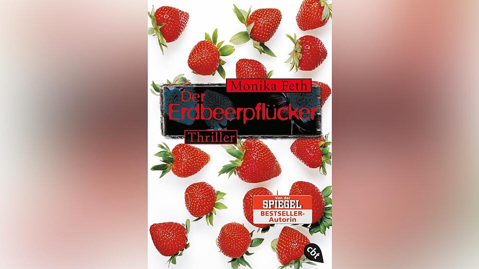 Neben ihrem bekanntesten Buch 'Erdbeerpfl&uuml;cker' hat Monika Feth noch viele andere Romane geschrieben, aus sehr unterschiedlichen Genres.