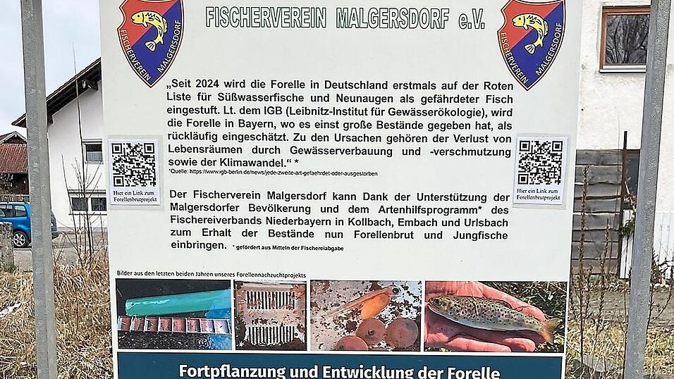Die Infotafel der Fischer in der Dorfmitte an der Urlsbachbr&uuml;cke enth&auml;lt einen QR-Code, der zu einem Video zum Thema f&uuml;hrt.