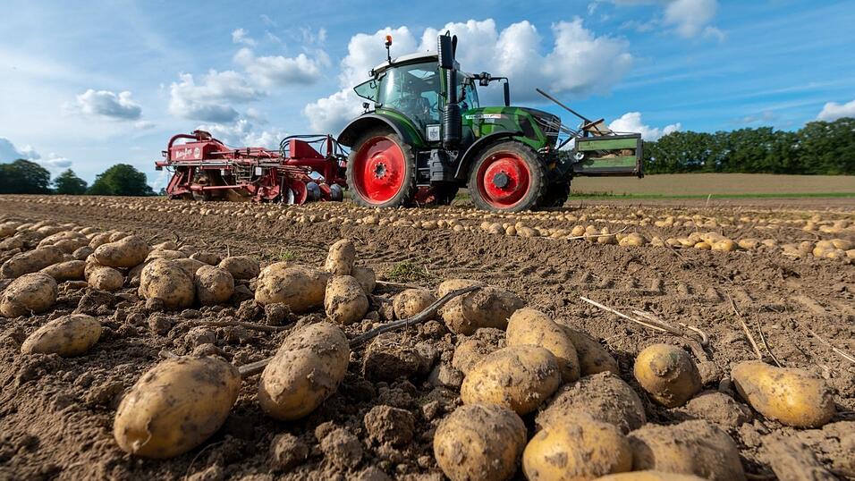 Eine neue EU-Initiative will die Lebensmittelproduktion &ouml;kologischer machen. Doch noch herrscht Uneinigkeit &uuml;ber die Umsetzung.