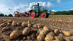 Eine neue EU-Initiative will die Lebensmittelproduktion ökologischer machen. Doch noch herrscht Uneinigkeit über die Umsetzung. Eine neue EU-Initiative will die Lebensmittelproduktion ökologischer machen. Doch noch herrscht Uneinigkeit über die Umsetzung.