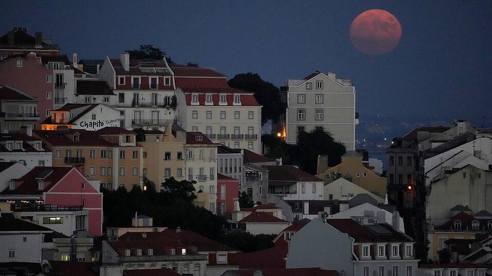 Nach der Mutter wurde nicht nur in Portugal fieberhaft gesucht. Nach der Festnahme wurden sie und der Stiefvater in Untersuchungshaft genommen. (Symbolbild) Nach der Mutter wurde nicht nur in Portugal fieberhaft gesucht. Nach der Festnahme wurden sie und der Stiefvater in Untersuchungshaft genommen. (Symbolbild)