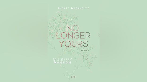 &bdquo;No Longer Yours&ldquo; von Merit Niemeitz, erschienen im LYX-Verlag.