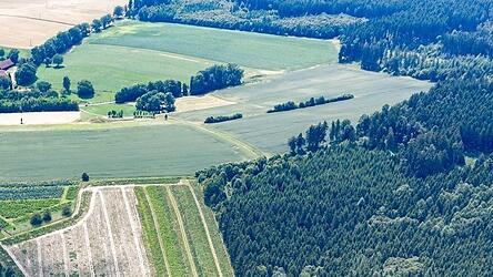 Verborgen hinter der Baumreihe in der Bildmitte liegt das Anwesen der Stadlers. Rechts davon, im Wald, will die Energieallianz Bayern eine Windkraftanlage errichten.