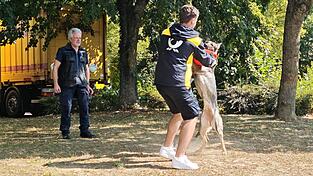 Hier wird nicht gekämpft, sondern trainiert. Hündin Nicky spielt den Angreifer, ein Mitarbeiter versucht zu blocken. Links Hundetrainer Bernd Bamberger. Hier wird nicht gekämpft, sondern trainiert. Hündin Nicky spielt den Angreifer, ein Mitarbeiter versucht zu blocken. Links Hundetrainer Bernd Bamberger.