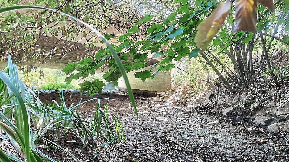 Der ausgetrocknete Rettenbach, hier am Mittwoch vergangener Woche unter der Brücke an der Seyboldsdorfer Straße in Vilsbiburg. Der ausgetrocknete Rettenbach, hier am Mittwoch vergangener Woche unter der Brücke an der Seyboldsdorfer Straße in Vilsbiburg.