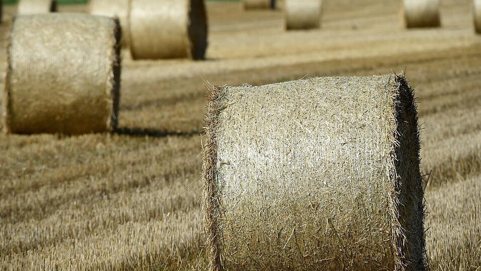 Erdr&uuml;ckt von einem Heuballen verstarb ein Landwirt am Freitag in seiner Scheune. (Foto: Holger Hollemann, dpa)