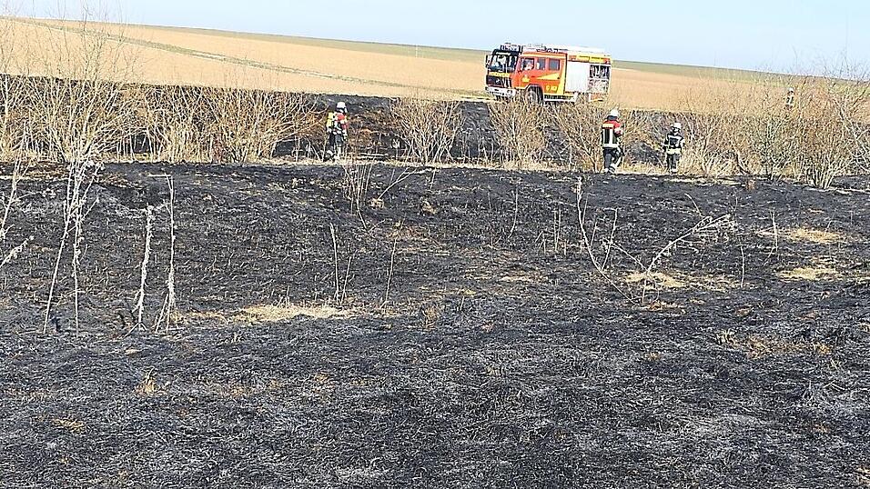 Rund 9.000 Quadratmeter Wiese brannten ab.