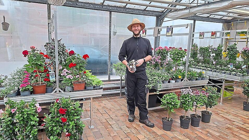 Der Fr&uuml;hling kommt. Im Gew&auml;chshaus bl&uuml;ht eine Blume sch&ouml;ner als die andere: G&auml;rtnermeister Ludwig Hofmann zeigt die Begonie, eine der Pflanzen des Jahres 2025.