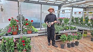 Der Fr&uuml;hling kommt. Im Gew&auml;chshaus bl&uuml;ht eine Blume sch&ouml;ner als die andere: G&auml;rtnermeister Ludwig Hofmann zeigt die Begonie, eine der Pflanzen des Jahres 2025.