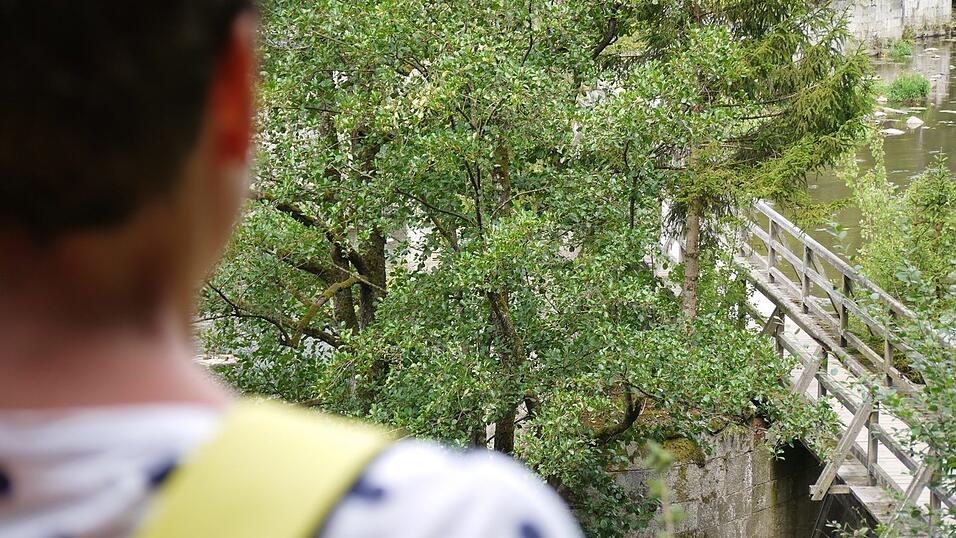 Wunderschönes Ausflugsziel in Passau: die Halser Ilzschleifen. Wunderschönes Ausflugsziel in Passau: die Halser Ilzschleifen.