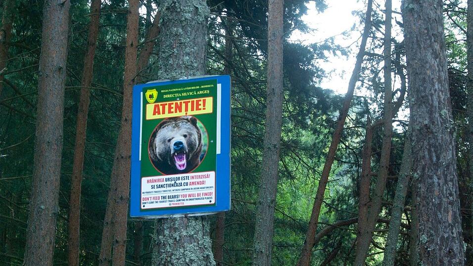 Ein Schild warnt vor B&auml;ren am Rande einer Bergstra&szlig;e in den Karpaten. (Archivbild)