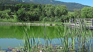 Die Wasserqualität in den Gewässern des Landkreises Cham - wie hier dem Naturbad in Neukirchen - passt.