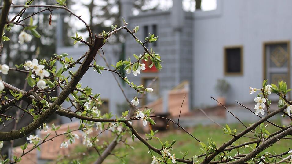 Wenn die Natur wieder erwacht, geht es am Ludwigsberg rund: Dann findet der erste 'Bergfrühling' der Festspielgemeinschaft Kötzting statt. Beginn ist um 11 Uhr, Ende um 19 Uhr.