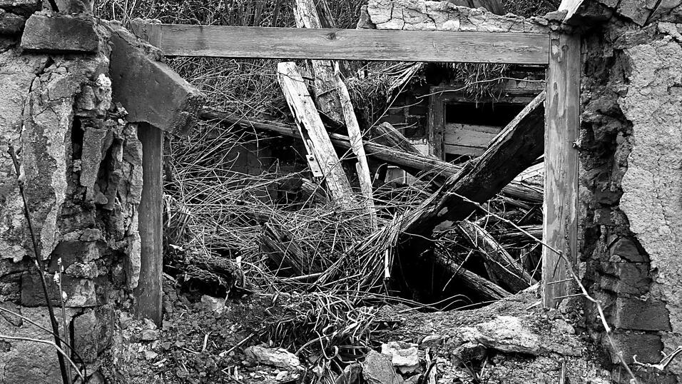 Platz 6: Christa Rabl-Dachs