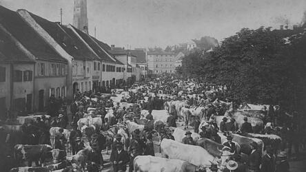 Während des Rindermarktes 1908 war der Marienplatz gut gefüllt. Während des Rindermarktes 1908 war der Marienplatz gut gefüllt.