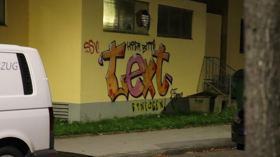 „Hier bitte Text einfügen“ - dieses Motiv hat Max auf die Garagenwand im Weinweg gesprüht. Es soll die Blicke der Passanten einfangen. „Hier bitte Text einfügen“ - dieses Motiv hat Max auf die Garagenwand im Weinweg gesprüht. Es soll die Blicke der Passanten einfangen.