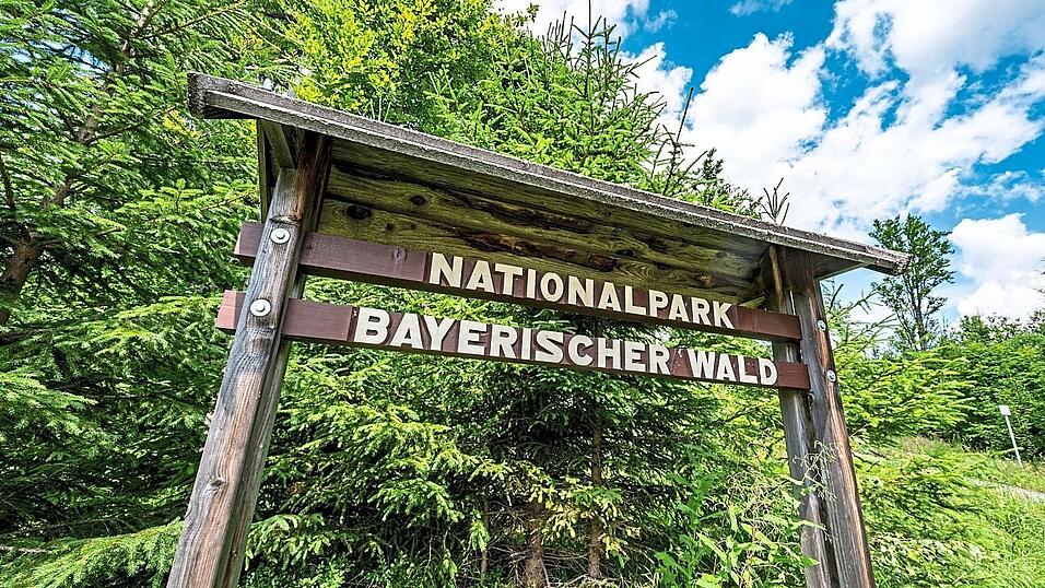 Auch die Eröffnung des Nationalparks Bayerischer Wald zählt der BN zu seinen Erfolgen. Auch die Eröffnung des Nationalparks Bayerischer Wald zählt der BN zu seinen Erfolgen.