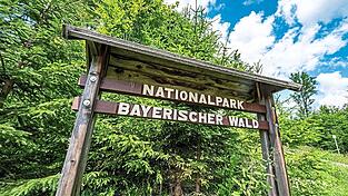 Auch die Eröffnung des Nationalparks Bayerischer Wald zählt der BN zu seinen Erfolgen.