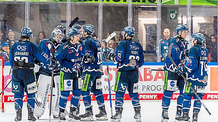 Mit einem 6:3-Heimsieg gegen den EHC Red Bull München, den sie hier bejubeln, beendeten die Straubing Tigers Anfang März die Hauptrunde der DEL-Saison 2024/25. In 70 Tagen starten sie in die neue Spielzeit - am Freitag, 12. September, bei den Adlern Mannheim.