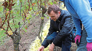 Das Mulchmaterial aus Nachwachsenden Rohstoffen wird als Streifen im Unterstockbereich der Weinst&ouml;cke gespritzt und verhindert so den Wuchs von Beikraut. Dr. Michael Kirchinger erkl&auml;rt Bio-Weinbauer Franz Luttner (rechts) die Zusammensetzung des Materials.