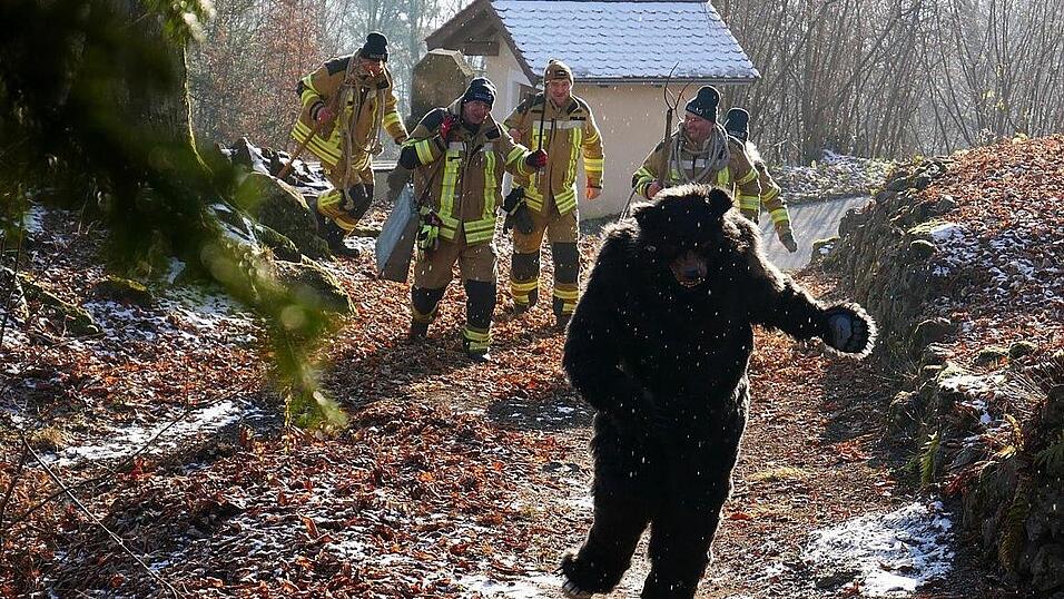 Die Haderstadler Männer schrecken mit ihren riesigen Schellen den Bär aus seinem Versteck auf. Die Haderstadler Männer schrecken mit ihren riesigen Schellen den Bär aus seinem Versteck auf.