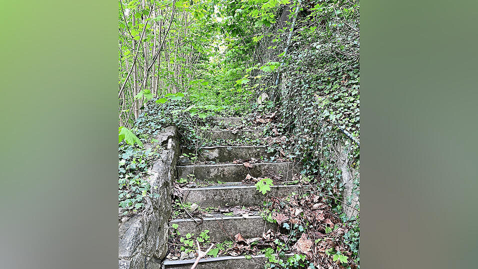 Ein Bauvorhaben an der Neuen Bergstraße 61/Ecke Preßgasse sorgt für anhaltenden Zwist zwischen Stadträten und Verwaltung. Ein Bauvorhaben an der Neuen Bergstraße 61/Ecke Preßgasse sorgt für anhaltenden Zwist zwischen Stadträten und Verwaltung.