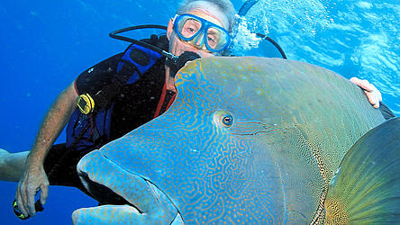 Das Great Barrier Reef eröffnet Tauchern eine farbenprächtige Unterwasserwelt.