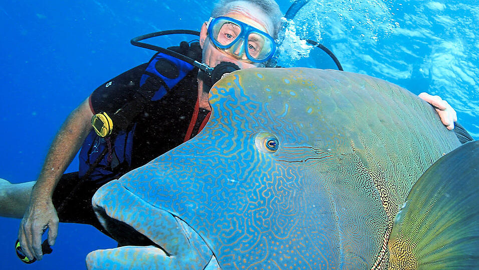 Das Great Barrier Reef eröffnet Tauchern eine farbenprächtige Unterwasserwelt.
