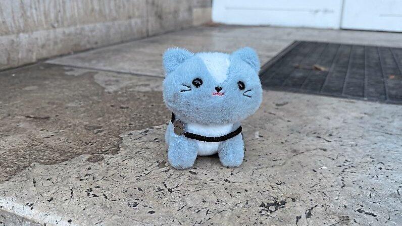 Eine Katze grinst spöttisch.
