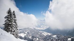 Ehrenamtliche Einsatzkr&auml;fte der Bergwacht Marktschellenberg retteten einen am Ro&szlig;feld-Skigebiet abgest&uuml;rzten Hund - sie fanden ihn im Steilgel&auml;nde. (Archivbld)