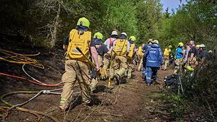Bei Friesenhagen k&auml;mpften zeitweise mehr als 400 Kr&auml;fte gegen die Flammen.
