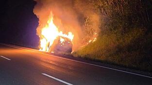 Der Fahrer des Wagens lenkte das Auto in den Graben und informierte dann die Feuerwehr.