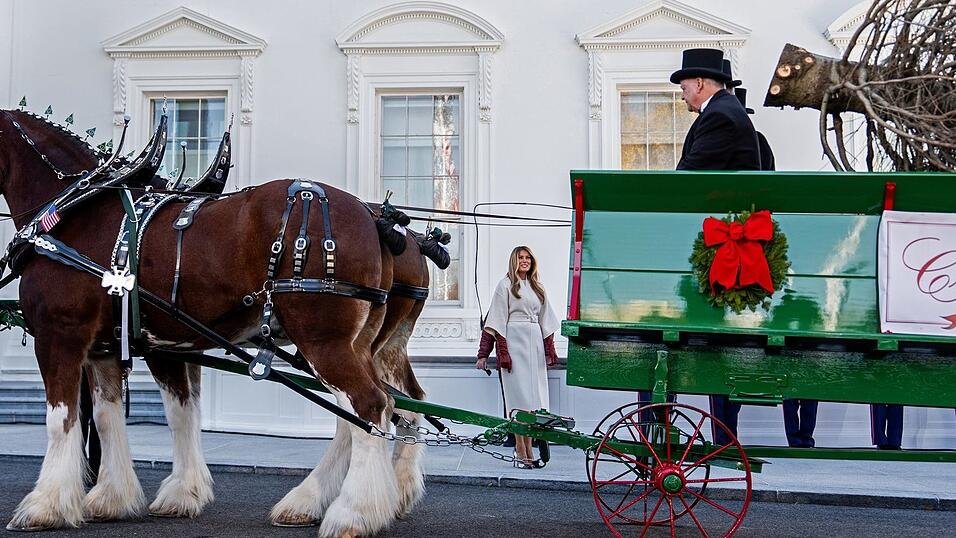 Der Weihnachtsbaum kommt im Weißen Haus an. Der Weihnachtsbaum kommt im Weißen Haus an.