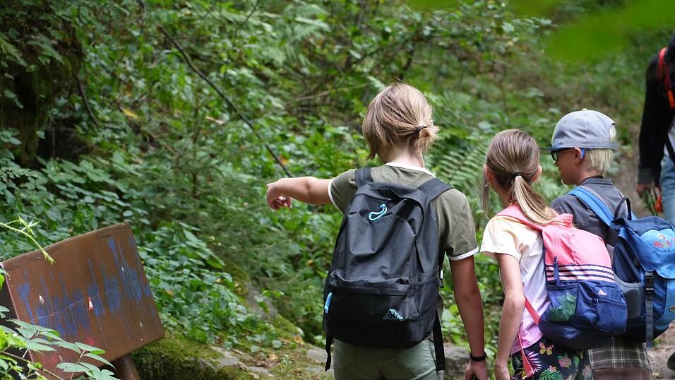 Wunderschönes Ausflugsziel in Passau: die Halser Ilzschleifen. Wunderschönes Ausflugsziel in Passau: die Halser Ilzschleifen.