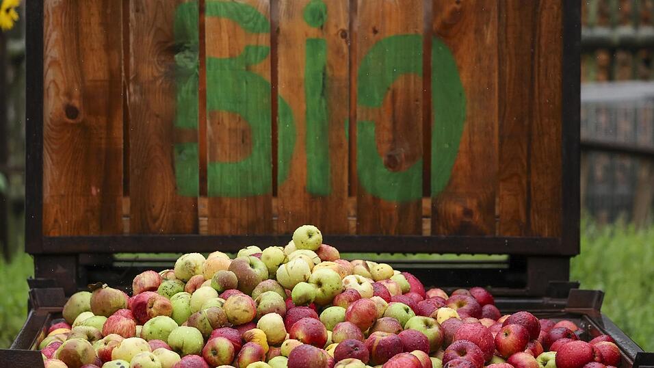 Ziel der Öko-Modellregion ist es, den ökologischen Landbau weiterzuentwickeln und dabei auch Landwirte, Verbraucher, Handel und Gastronomie einzubeziehen. Ziel der Öko-Modellregion ist es, den ökologischen Landbau weiterzuentwickeln und dabei auch Landwirte, Verbraucher, Handel und Gastronomie einzubeziehen.