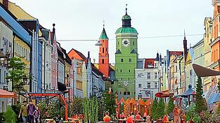 So ähnlich könnte der Zauberwald am Stadtplatz aussehen.