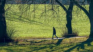 Vor allem im Süden Bayerns soll es nach Angaben des Deutschen Wetterdienstes (DWD) sehr mild werden. (Archivbild)
