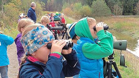 Die Auszeichnung „ÖkoKids“ wird an Kindertagesstätten verliehen, die Projekte zur Umweltbildung mit Kindern durchführen.