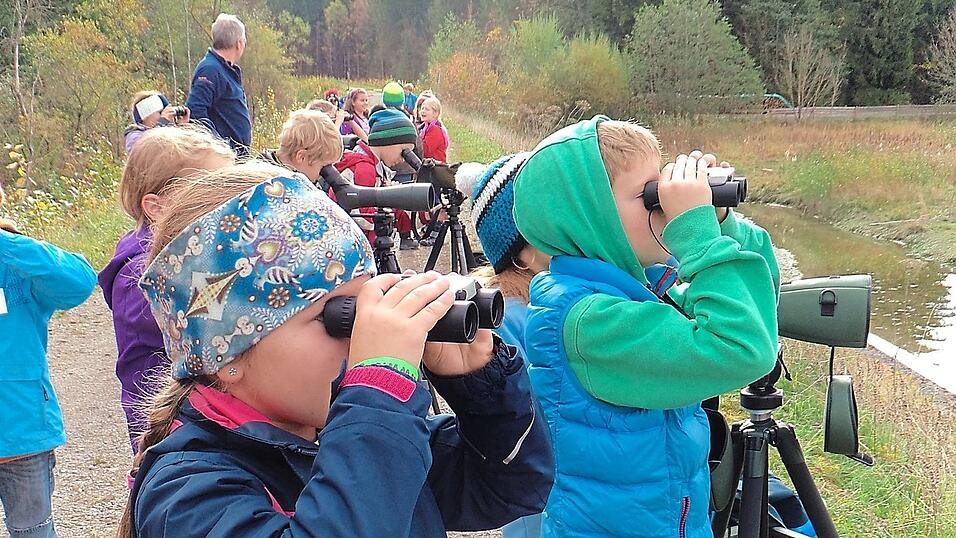 Die Auszeichnung „ÖkoKids“ wird an Kindertagesstätten verliehen, die Projekte zur Umweltbildung mit Kindern durchführen.