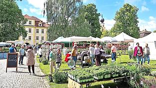 Das Köferinger Wasserschloss bot den Rahmen für die Ausstellung Gartenlust. Das Köferinger Wasserschloss bot den Rahmen für die Ausstellung Gartenlust.