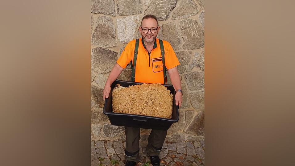 Der Schwammerl, der auch 'Tannenglucke' heißt, bringt satte 13,2 Kilogramm auf die Waage. 