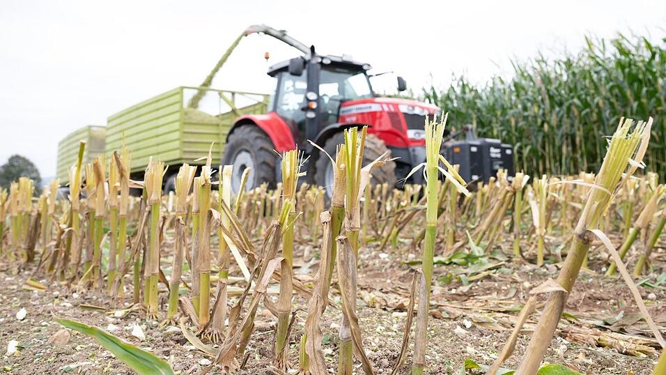 Bei der Maisernte hat sich am Wochenende ein 13-jähriger Bub schwere Verletzungen an den Händen zugezogen. Bei der Maisernte hat sich am Wochenende ein 13-jähriger Bub schwere Verletzungen an den Händen zugezogen.