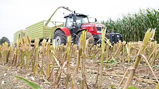 Bei der Maisernte hat sich am Wochenende ein 13-jähriger Bub schwere Verletzungen an den Händen zugezogen. Bei der Maisernte hat sich am Wochenende ein 13-jähriger Bub schwere Verletzungen an den Händen zugezogen.