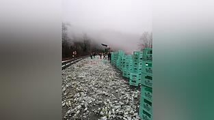 Weit verstreut lagen die zerbrochenen Flaschen auf der Fahrbahn.
