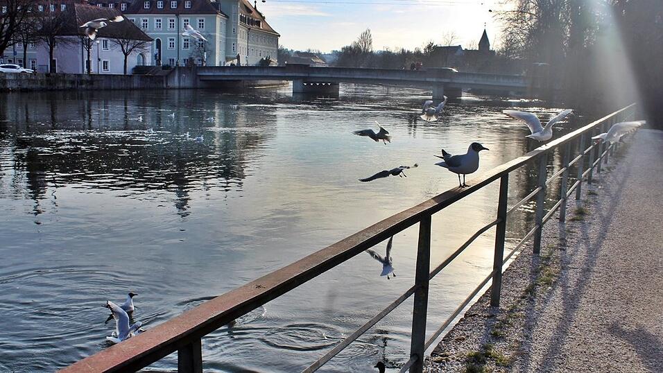 Bei Sonnenschein macht ein Stadtspaziergang gleich noch viel mehr Spaß. Bei Sonnenschein macht ein Stadtspaziergang gleich noch viel mehr Spaß.