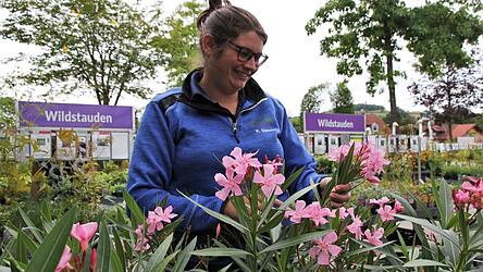 Pflegeleicht und hübsch anzusehen: Der Oleander gehört zu den bösen Blumen. Seine Milch erzeugt Herzrasen, weiß Gärtnermeisterin Katharina Gleixner.