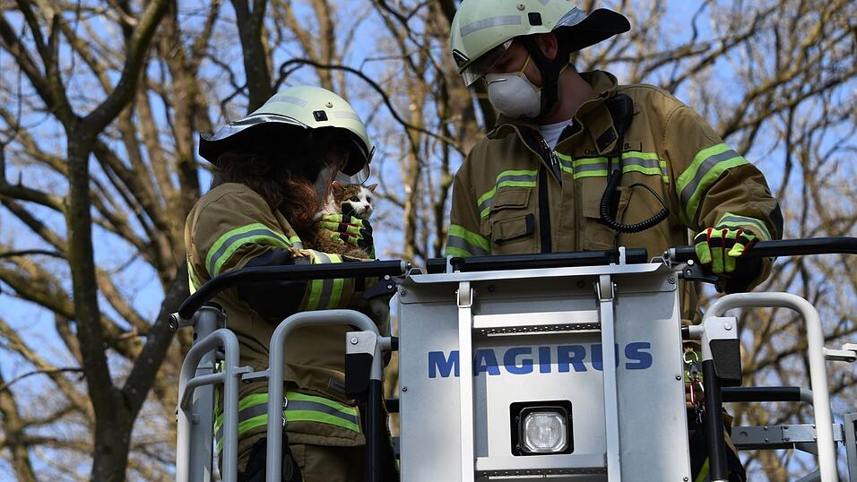 Um die Katze aus ihrer schwierigen Lage zu befreien, begaben sich zwei Feuerwehrleute im Korb an der Drehleiter in luftige Höhen. Um die Katze aus ihrer schwierigen Lage zu befreien, begaben sich zwei Feuerwehrleute im Korb an der Drehleiter in luftige Höhen.