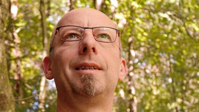 Mit Blick zum Bl&auml;tterdach: Sachbuchautor Frank Danicek.