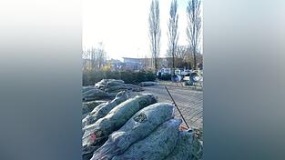 Der Christbaumverkauf, hier in Straubing, läuft.