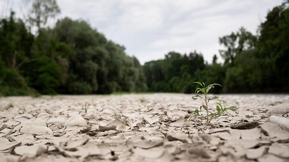 Auch die Schweiz hat mit Wassermangel zu kämpfen. Auch die Schweiz hat mit Wassermangel zu kämpfen.